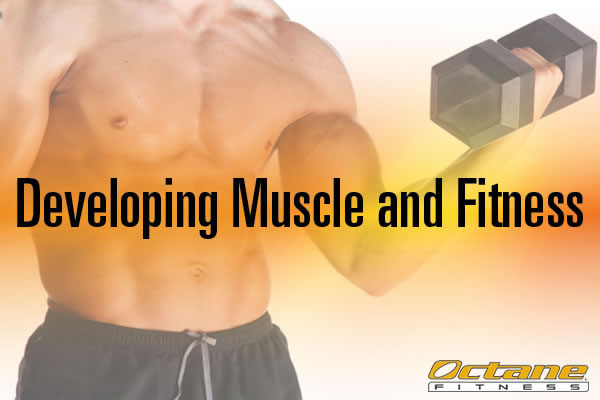 Developing Muscle and Fitness