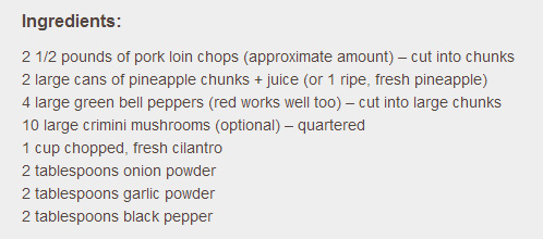 pineapple-pork-kebob-ingredients