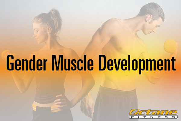 Fun Facts: Muscle Development in Women vs. Men