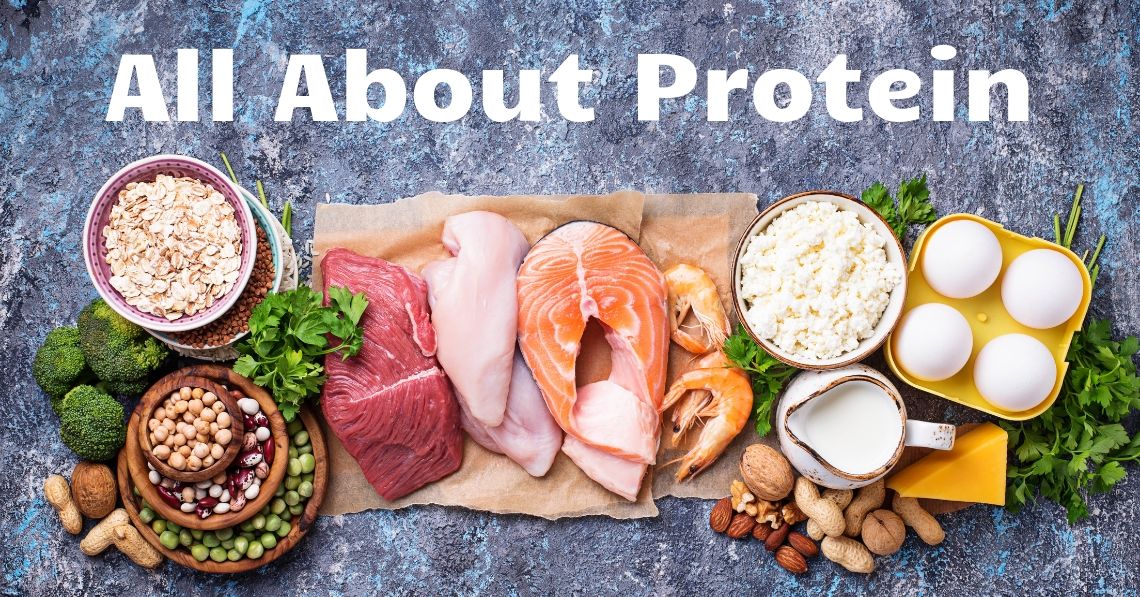 关于蛋白质的一切